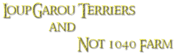 LoupGarou Terriers and Not 1040 Farm